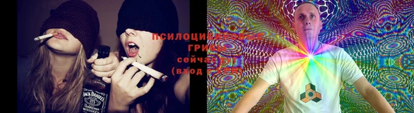 гашик Верхнеуральск