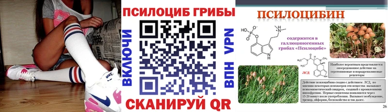 Купить где  Новоаннинский  Псилоцибиновые грибы Psilocybine cubensis 